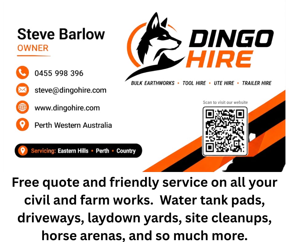 Logo of Dingo Hire .com