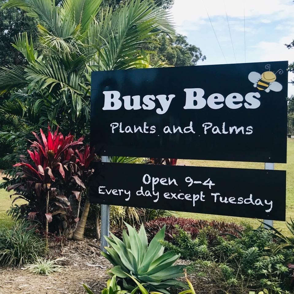 Logo of Busy Bees Plants and Palms