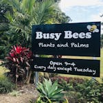 Logo of Busy Bees Plants and Palms