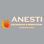 Logo of Anesti Excavation & Demolition