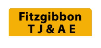 Logo of Fitzgibbon T J & A E