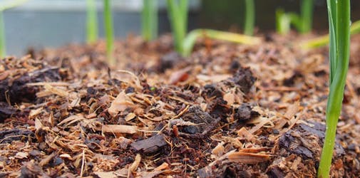 Logo of Braddon Mulching