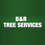 Logo of B & R Tree Services