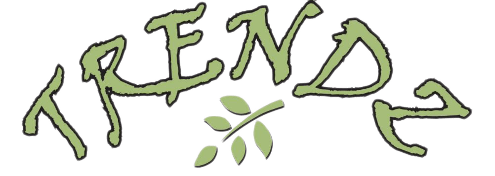 Logo of Trendz Designer Landscapes