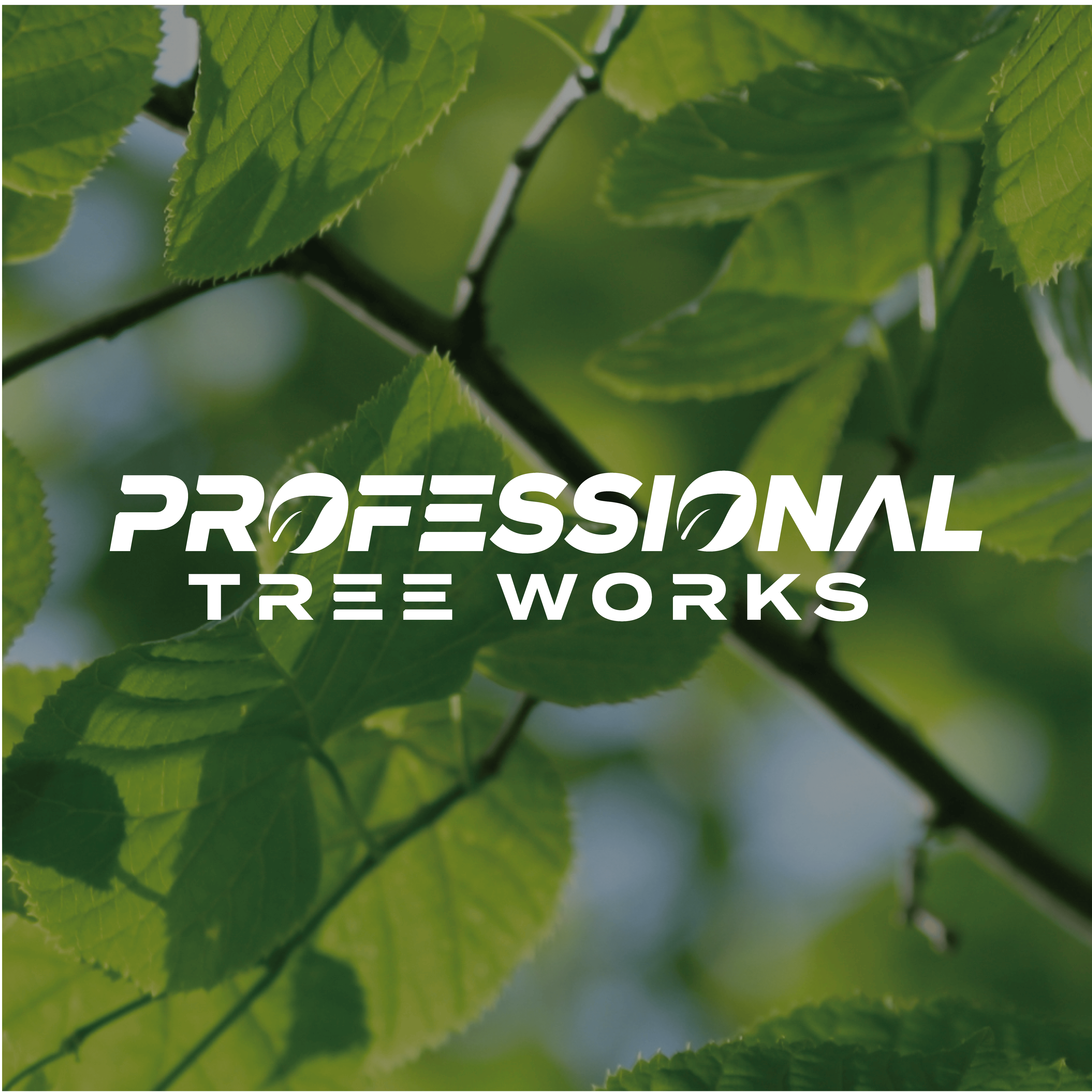 Logo of Professional Tree Works