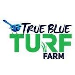 Logo of True Blue Turf