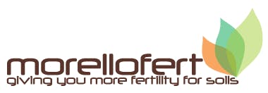 Logo of Morellofert