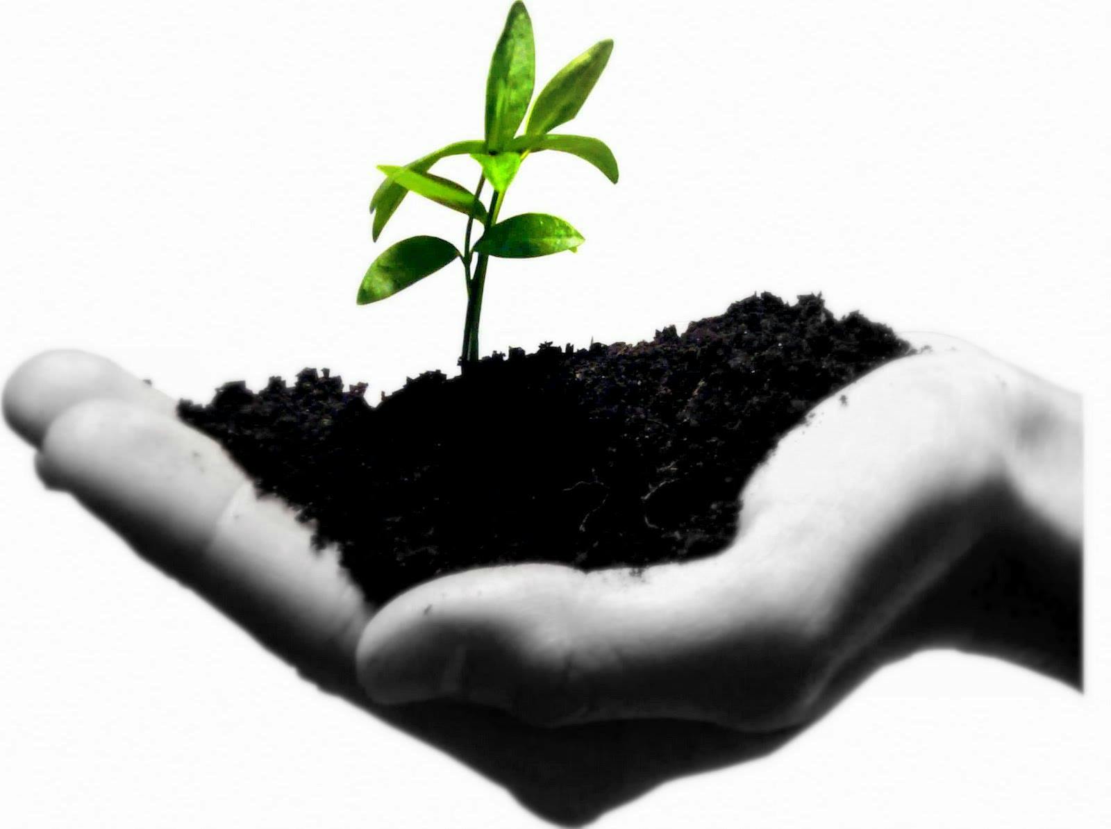 Logo of Rockingham Soils & Garden Supplies