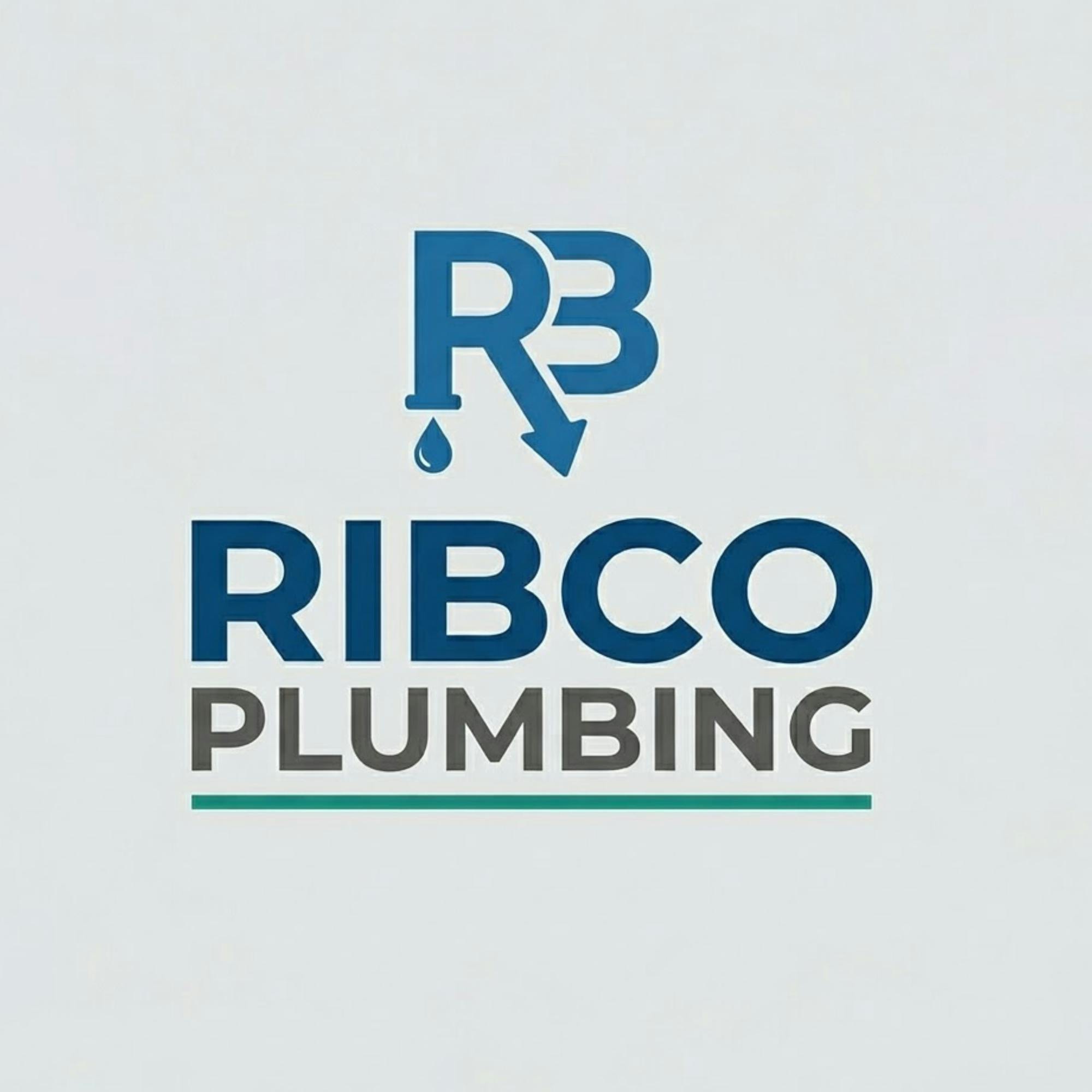 Logo of RIBCO PLUMBING