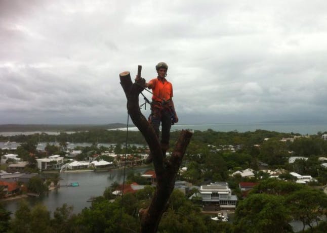 Logo of Call 2 Cut Tree Solutions