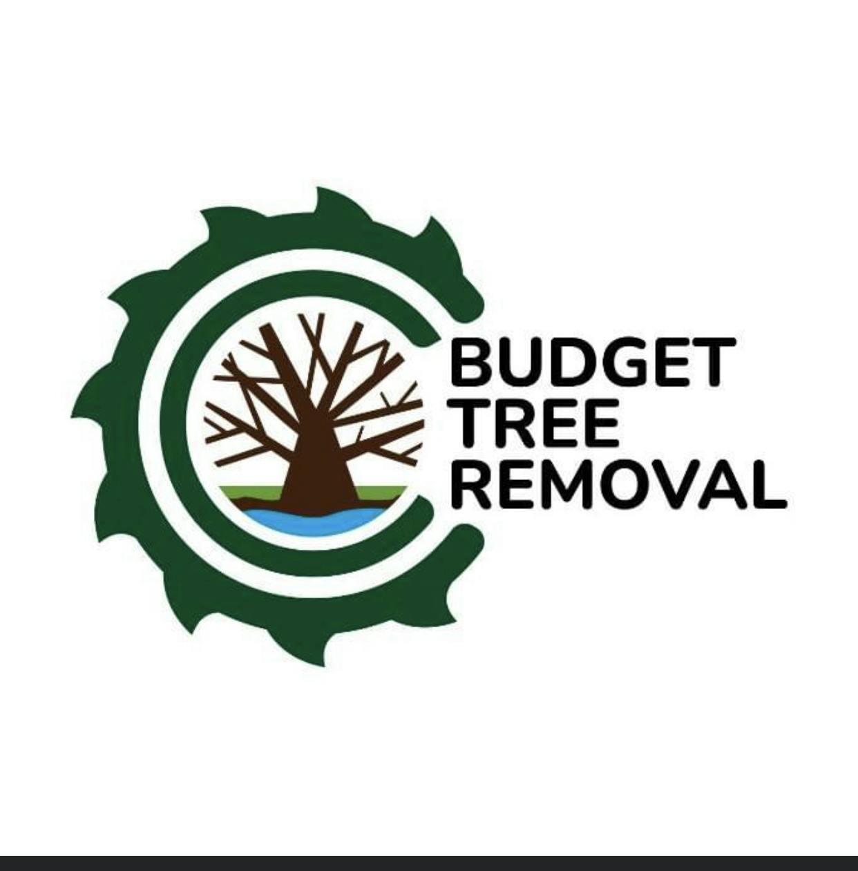 Logo of Budget Tree Removal