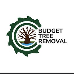 Logo of Budget Tree Removal