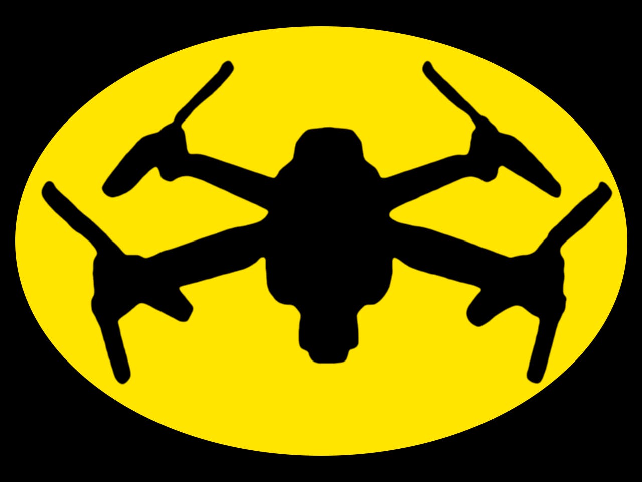 Logo of RIS Drones