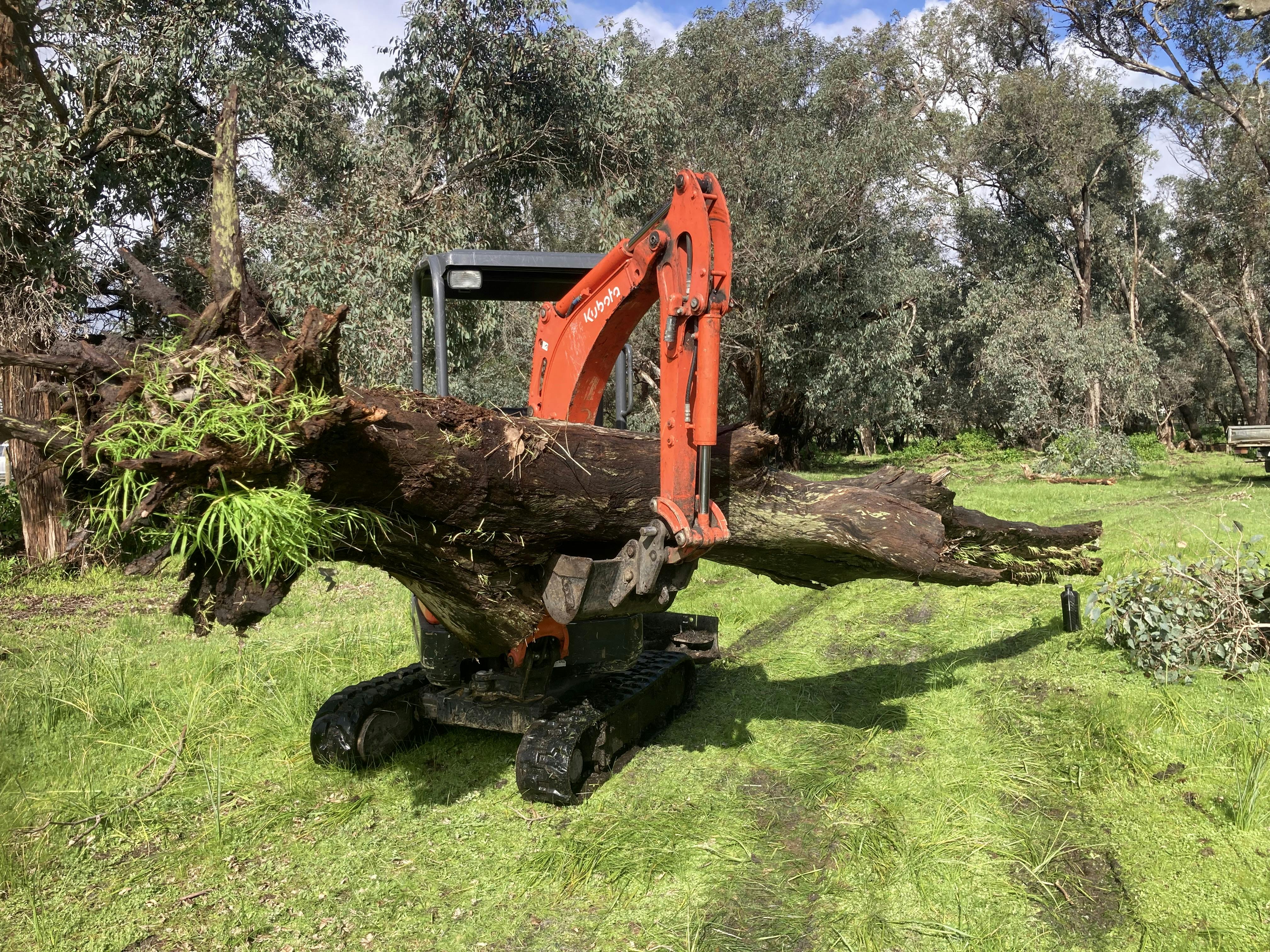 Logo of Ace Mini Diggers