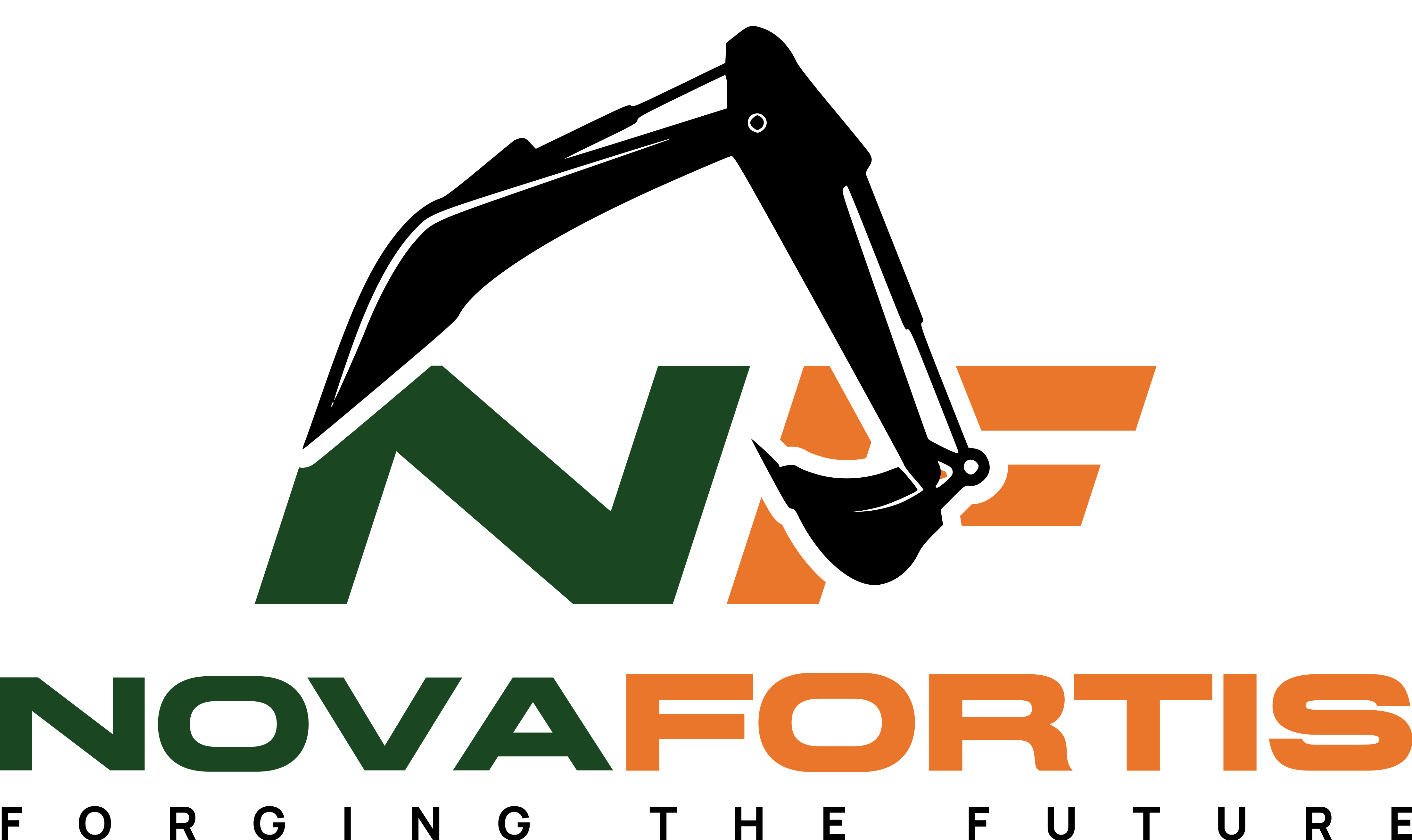 Logo of NovaFortis Group