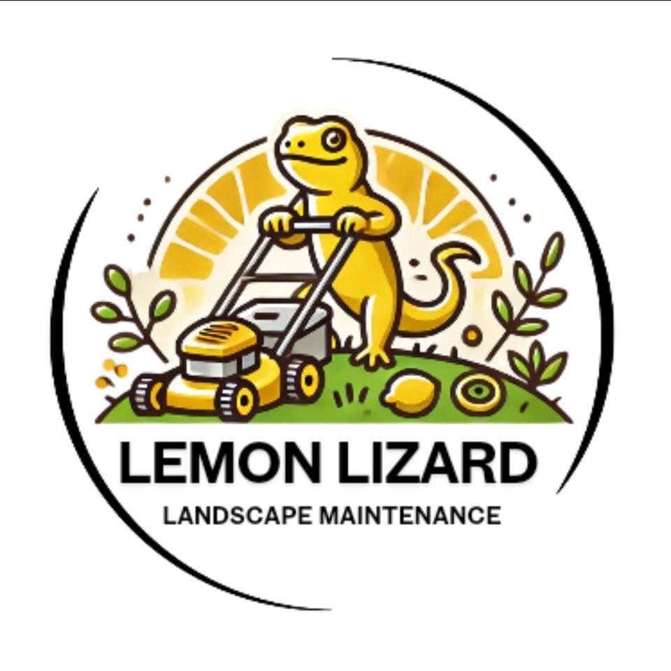 Logo of Lemon Lizard Pty Ltd