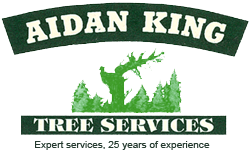 Logo of Aidan King Tree Services