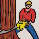 Logo of Alstonville Tree Felling