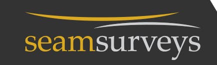 Logo of Seam Surveys P/L
