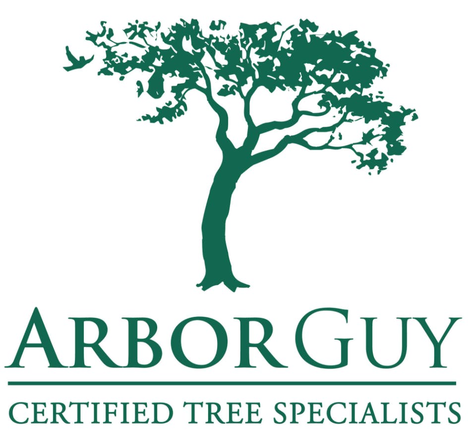 Logo of Arbor Guy