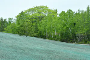 Hydromulching