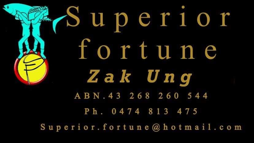 Logo of Superior fortune
