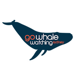 Logo of Go Whale Watching