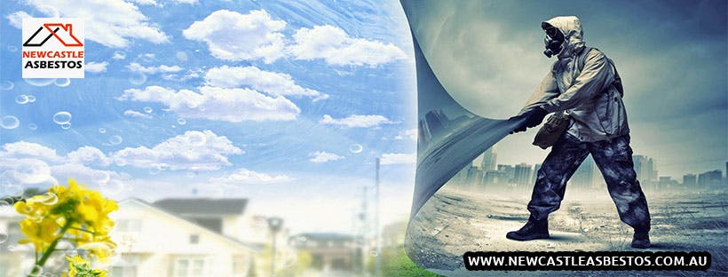 Logo of Newcastle Asbestos