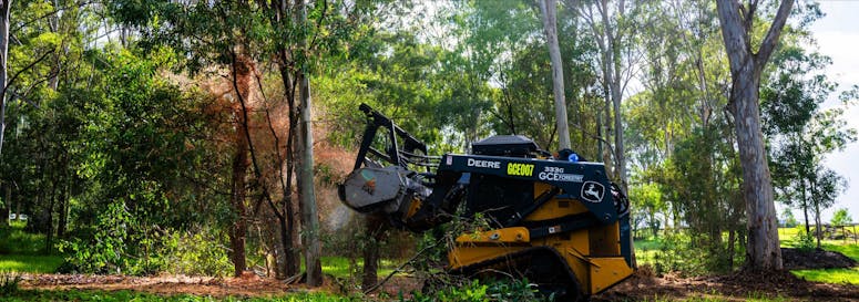 GCE Forestry featured image