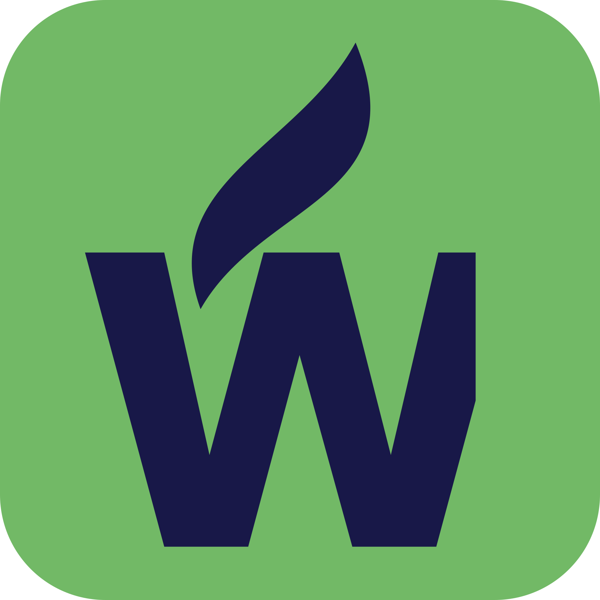 Logo of Walker Environmental Services