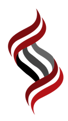 Logo of Synergy Placements