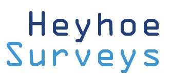 Logo of Heyhoe Surveys