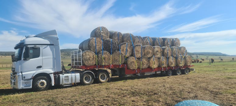 Berms Freight featured image
