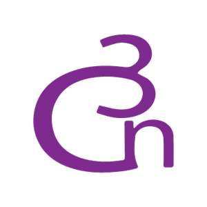 Logo of 3n Consultancy Group