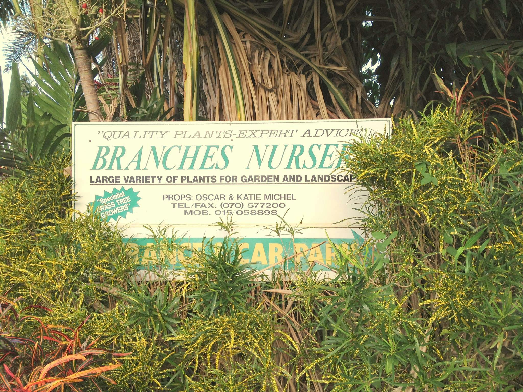 Logo of Branches Nursery