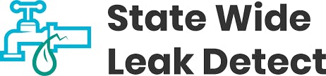 Logo of State Wide Leak Detect