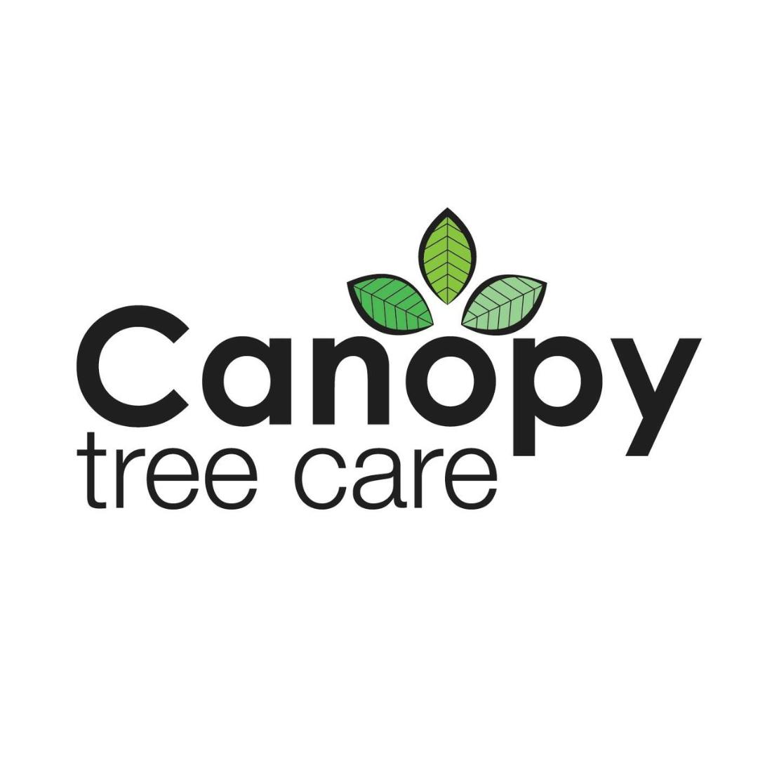 Logo of Canopy Tree Care
