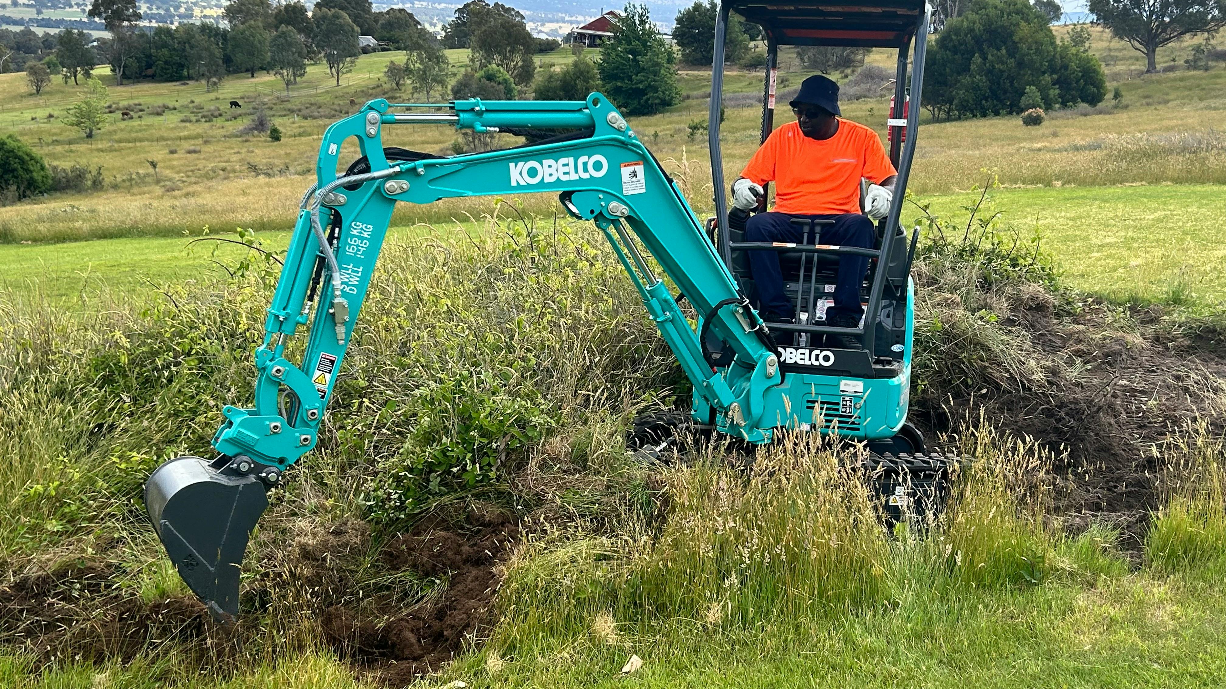Four Diggers in Reservoir | iseekplant