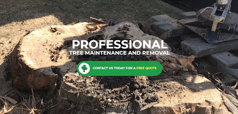 J K Cooper Tree Services featured image