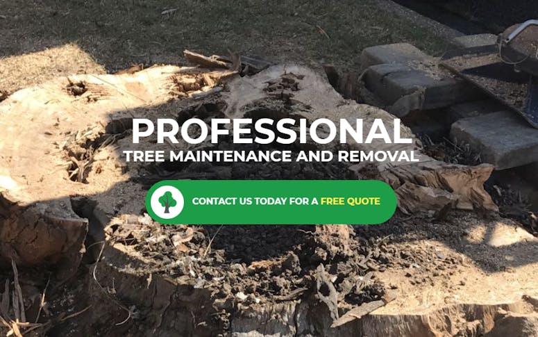 J K Cooper Tree Services featured image