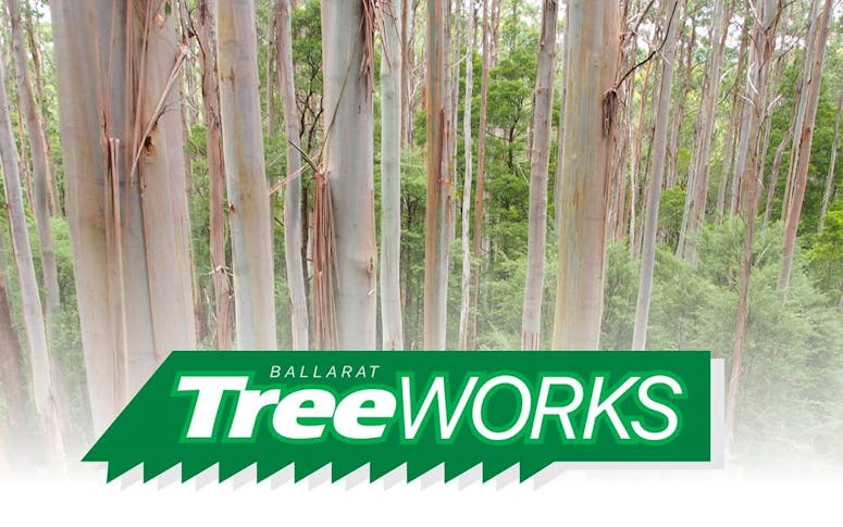Ballarat Tree Works featured image