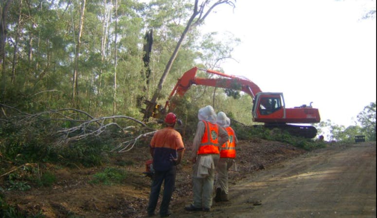 Robert Keeble Tree Services featured image
