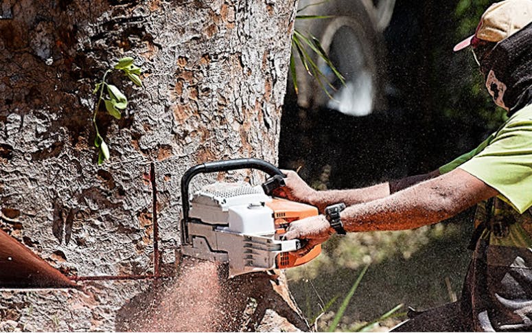 Townsville Tree Care featured image