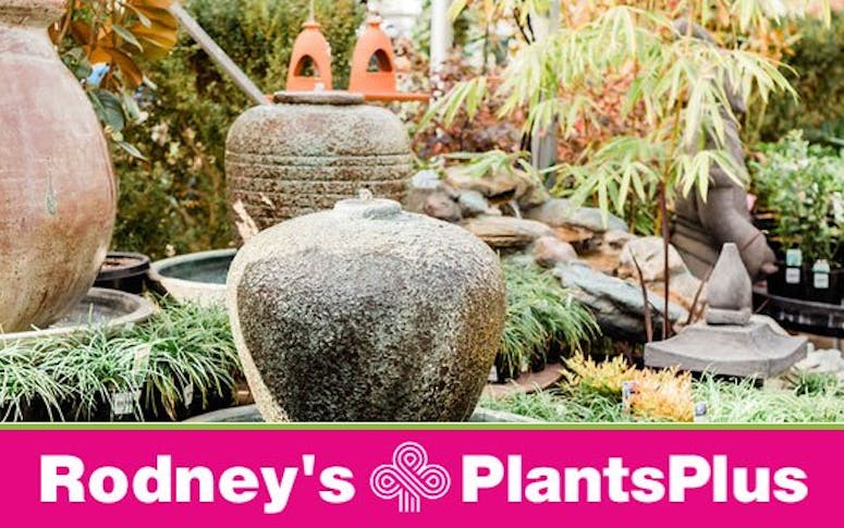 Rodney's Nursery And Garden Centre featured image
