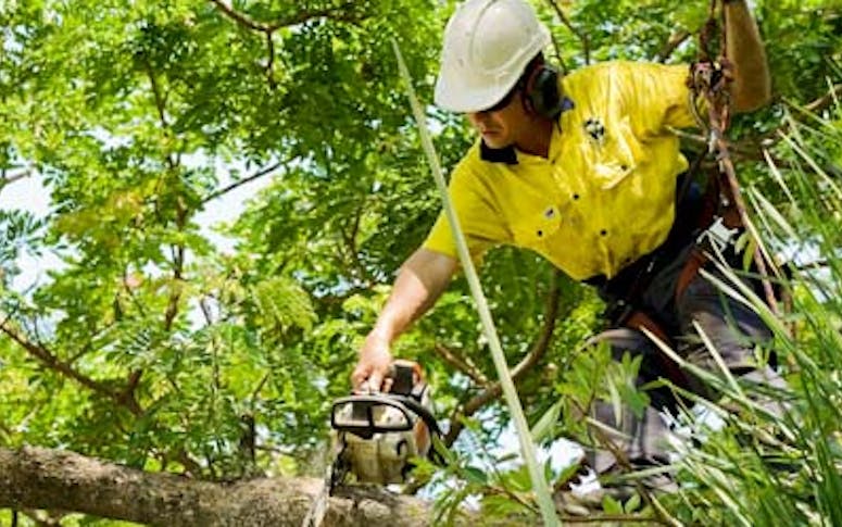Arafura Tree Services featured image