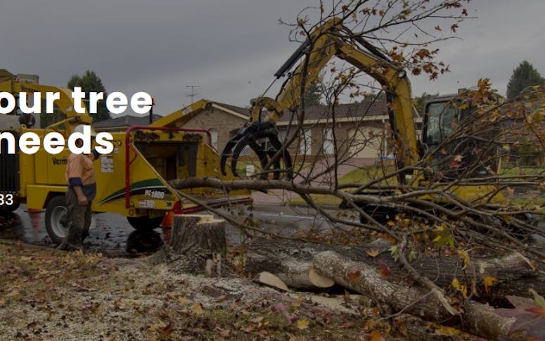Friendly Fred's Tree Service featured image