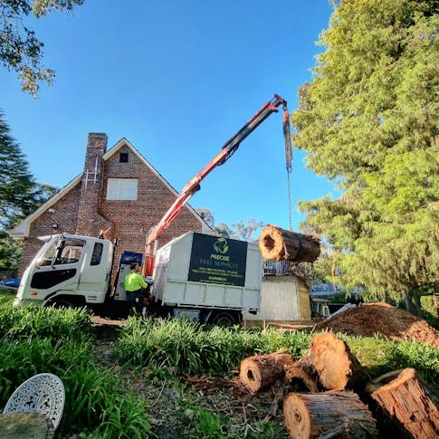 Precise Tree Services Pty ltd featured image