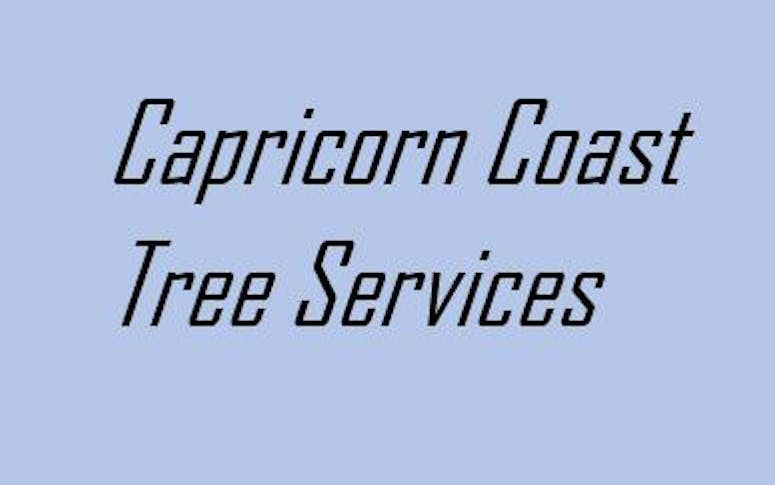 Capricorn Coast Tree Services featured image