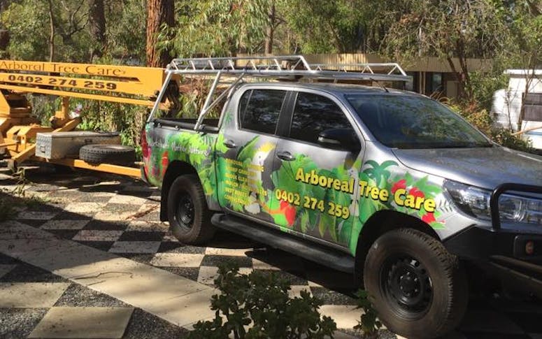 Arboreal Tree Care Pty Ltd featured image