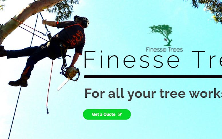 Finesse Trees featured image